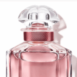 Capture d’écran 2025-11-07 195141